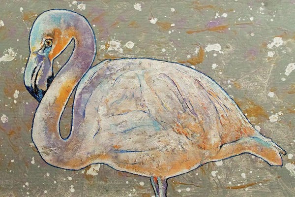 Flamingos: White Flamingo by Michael Creese