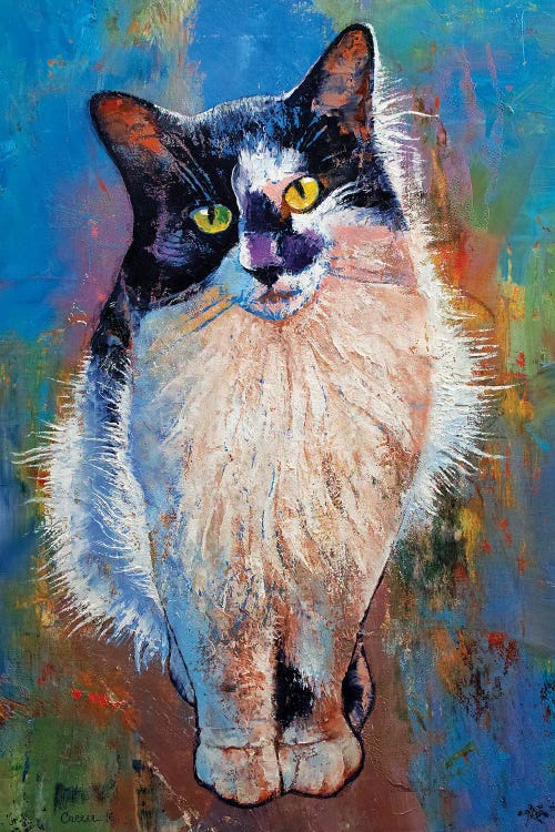 Black And White Cat by Michael Creese wall art