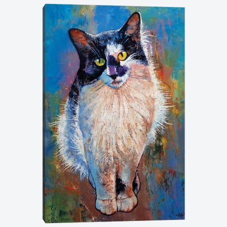 Black And White Cat Canvas Print #MCR273} by Michael Creese Canvas Art