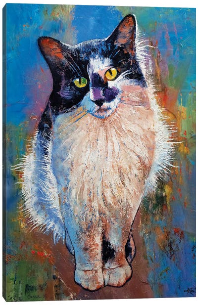 Black And White Cat Canvas Art Print - Michael Creese