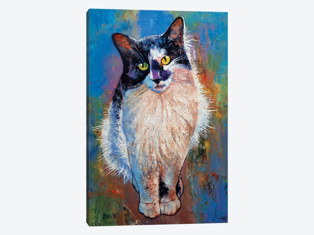 Black And White Cat by Michael Creese 1-piece Canvas Artwork