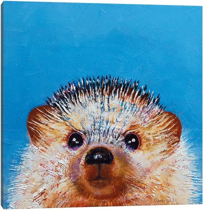 Little Hedgehog Canvas Art Print - Hedgehogs