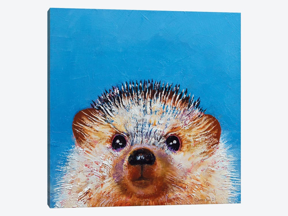 Little Hedgehog by Michael Creese 1-piece Art Print