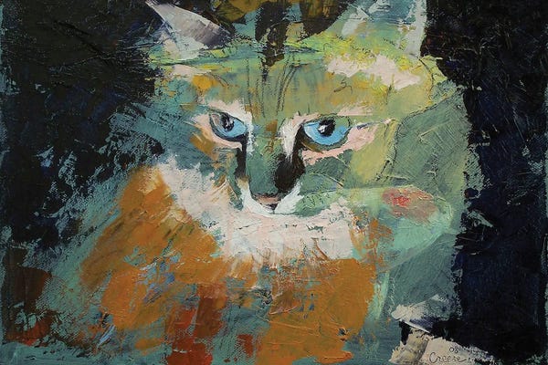 Himalayan Cat