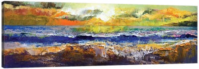 California Waves Canvas Art Print - Michael Creese