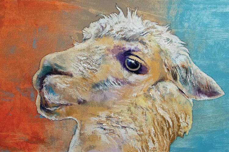 Alpaca by Michael Creese wall art