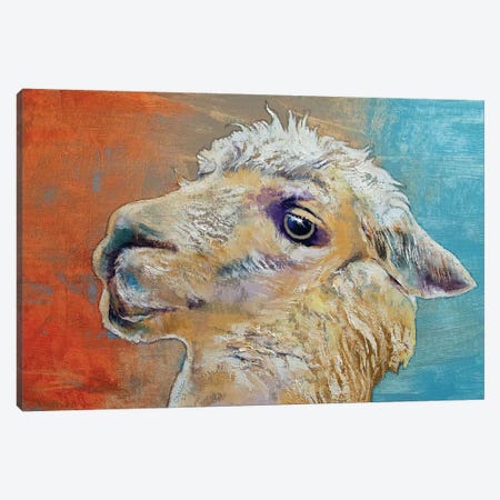 Alpaca Canvas Print #MCR286} by Michael Creese Canvas Wall Art