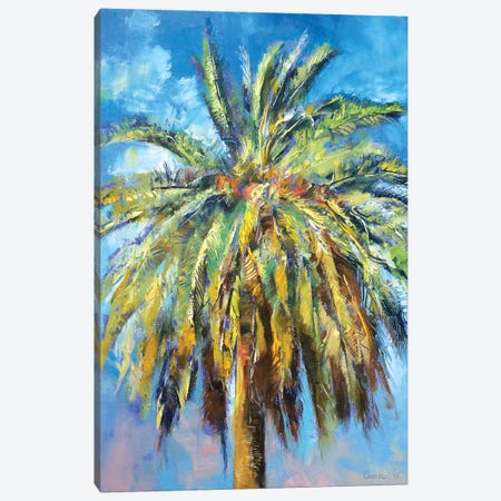 Canary Island Date Palm Canvas Print #MCR28} by Michael Creese Canvas Wall Art