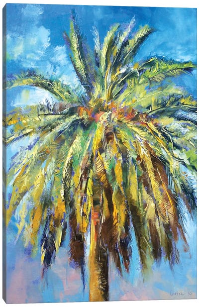 Canary Island Date Palm Canvas Art Print - Tree Close-Up Art