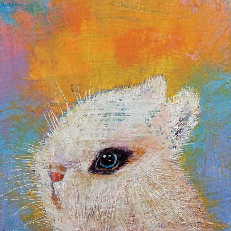 Hotot Rabbit by Michael Creese wall art