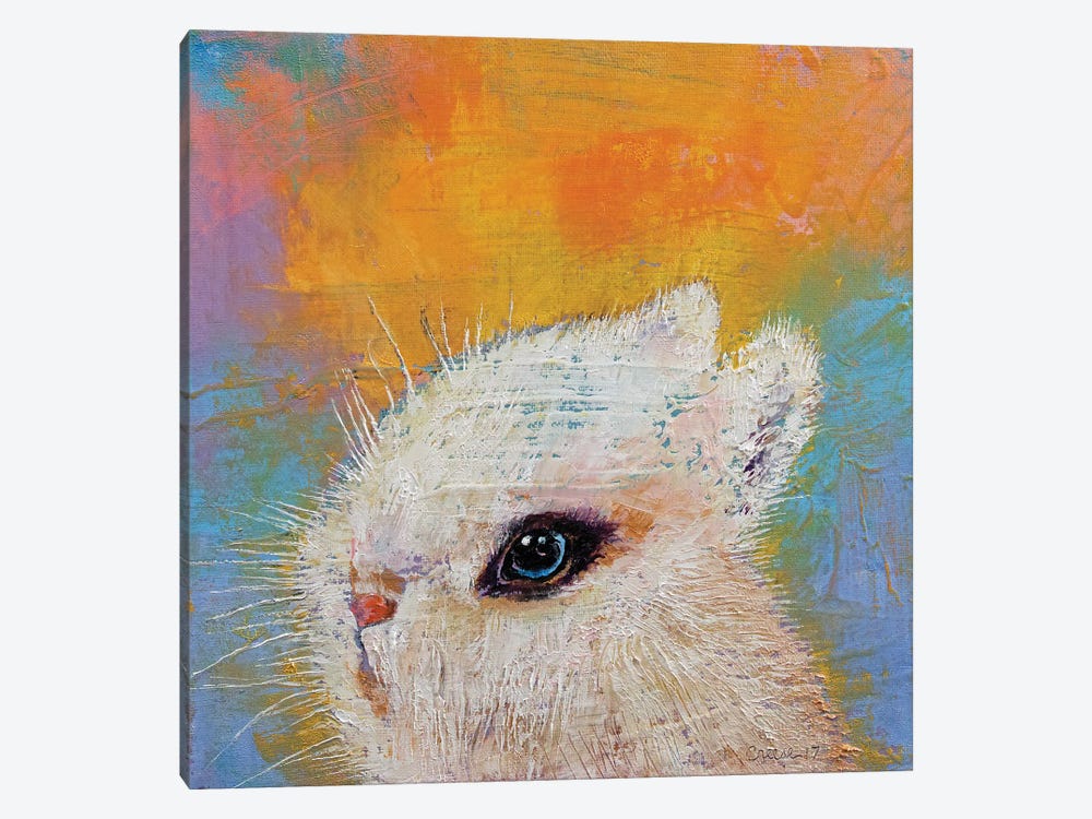 Hotot Rabbit by Michael Creese 1-piece Canvas Artwork