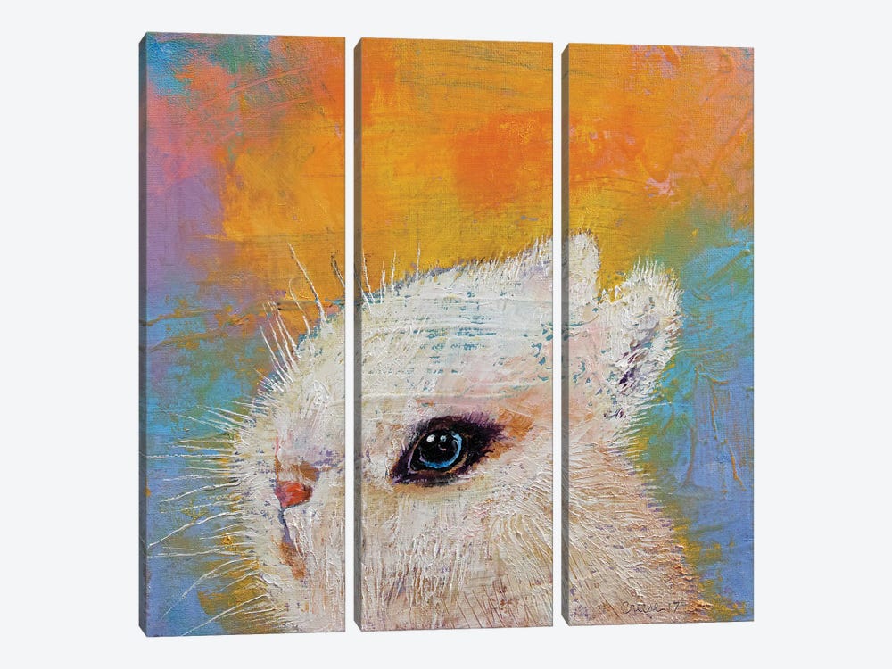 Hotot Rabbit by Michael Creese 3-piece Canvas Artwork