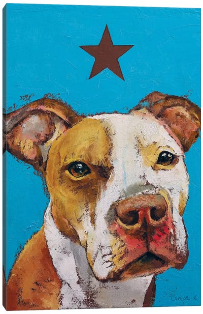 American Pit Bull Canvas Art Print - Michael Creese