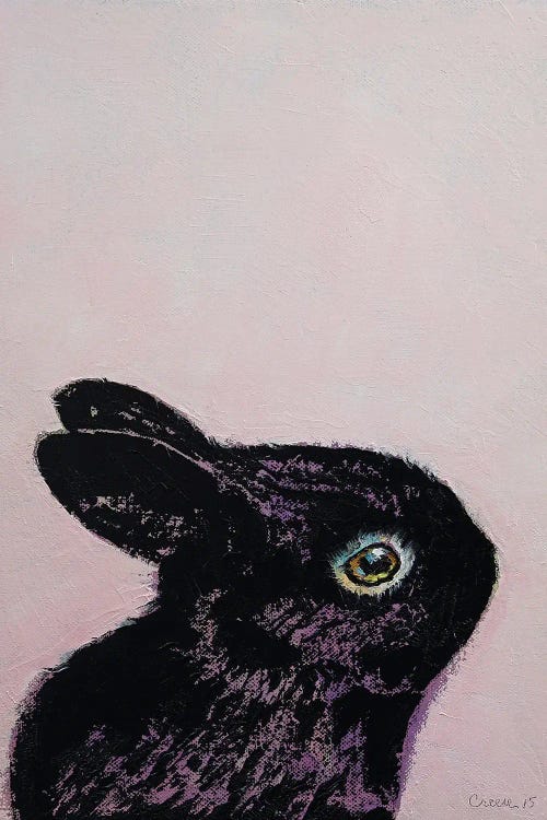 Black Bunny