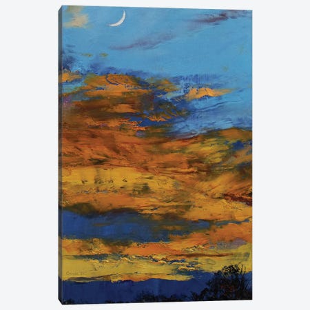 Tangerine Sunset Canvas Print #MCR303} by Michael Creese Canvas Art