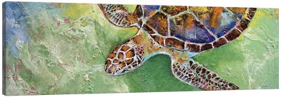 Caribbean Sea Turtle Canvas Art Print - Reptile & Amphibian Art