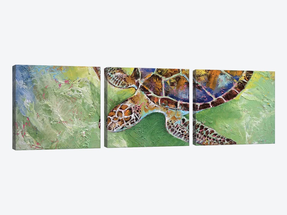Caribbean Sea Turtle by Michael Creese 3-piece Canvas Art