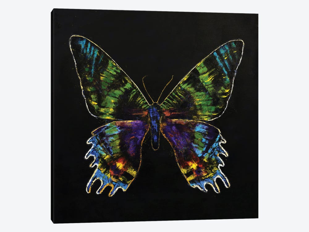 Madagascan Sunset Moth by Michael Creese 1-piece Canvas Artwork