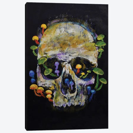 Mushroom Skull Canvas Print #MCR313} by Michael Creese Canvas Art Print