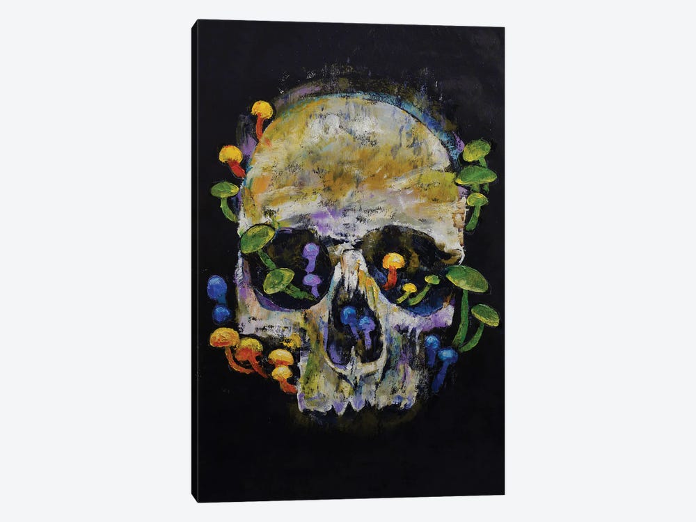Mushroom Skull by Michael Creese 1-piece Canvas Art Print