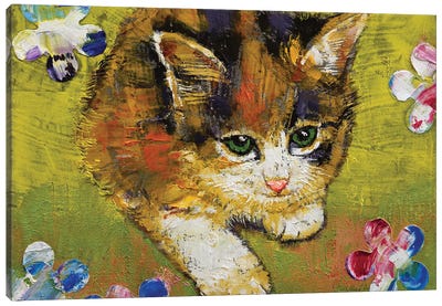 Calico Kitten Canvas Art Print - Calico Cat Art