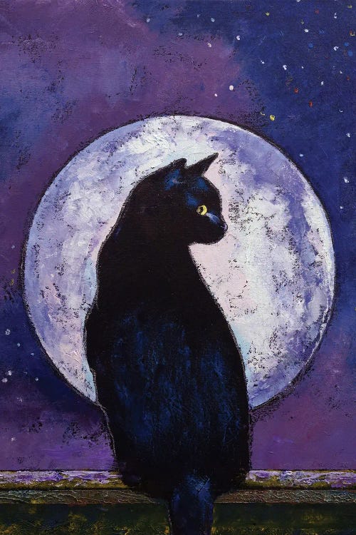 Black Cat Moonlight