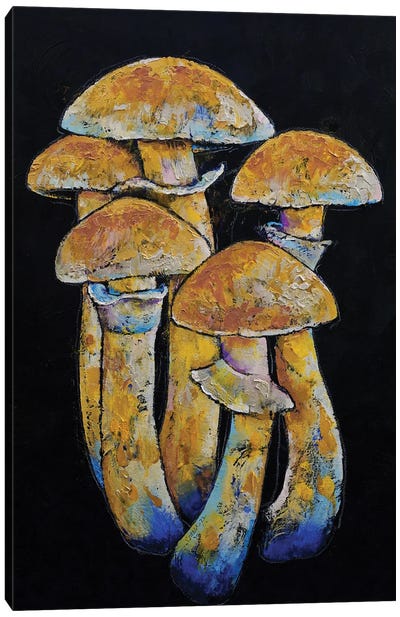 Gold Cap Shrooms Canvas Art Print - Vegetable Art