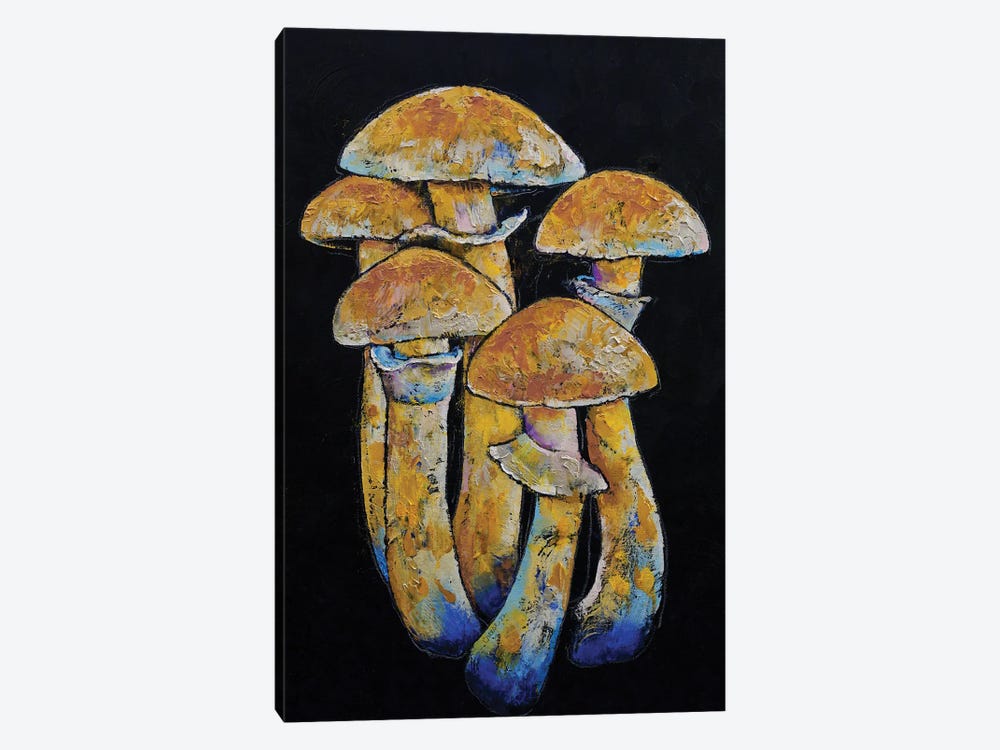 Gold Cap Shrooms by Michael Creese 1-piece Canvas Wall Art