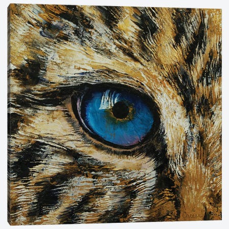 Leopard Eye Canvas Print #MCR335} by Michael Creese Canvas Art