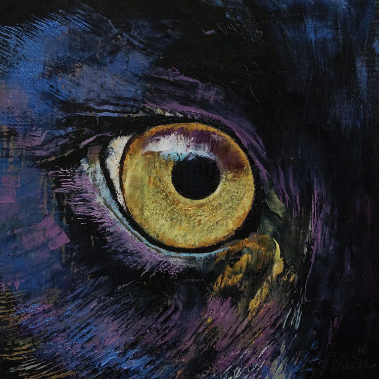 Panther Eye