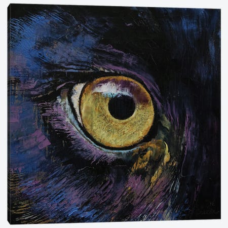 Panther Eye Canvas Print #MCR336} by Michael Creese Canvas Wall Art