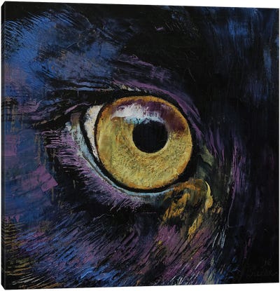 Panther Eye Canvas Art Print - Panther Art