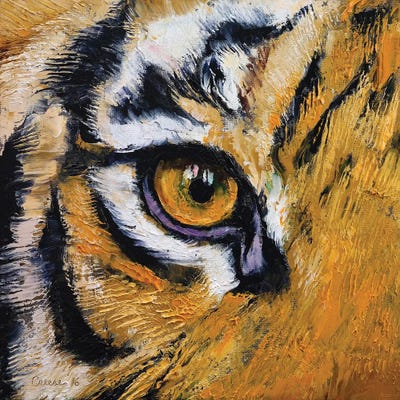Tiger Eye by Michael Creese framed wall art