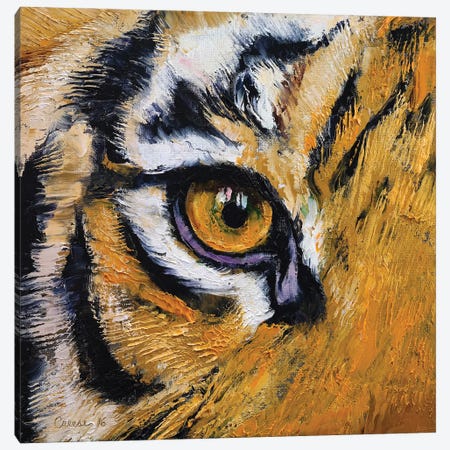 Tiger Eye Canvas Print #MCR337} by Michael Creese Canvas Artwork