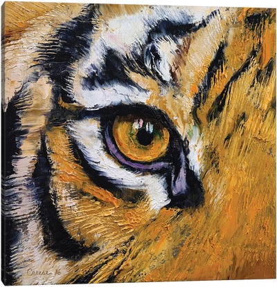 Tiger Eye Canvas Art Print - Michael Creese