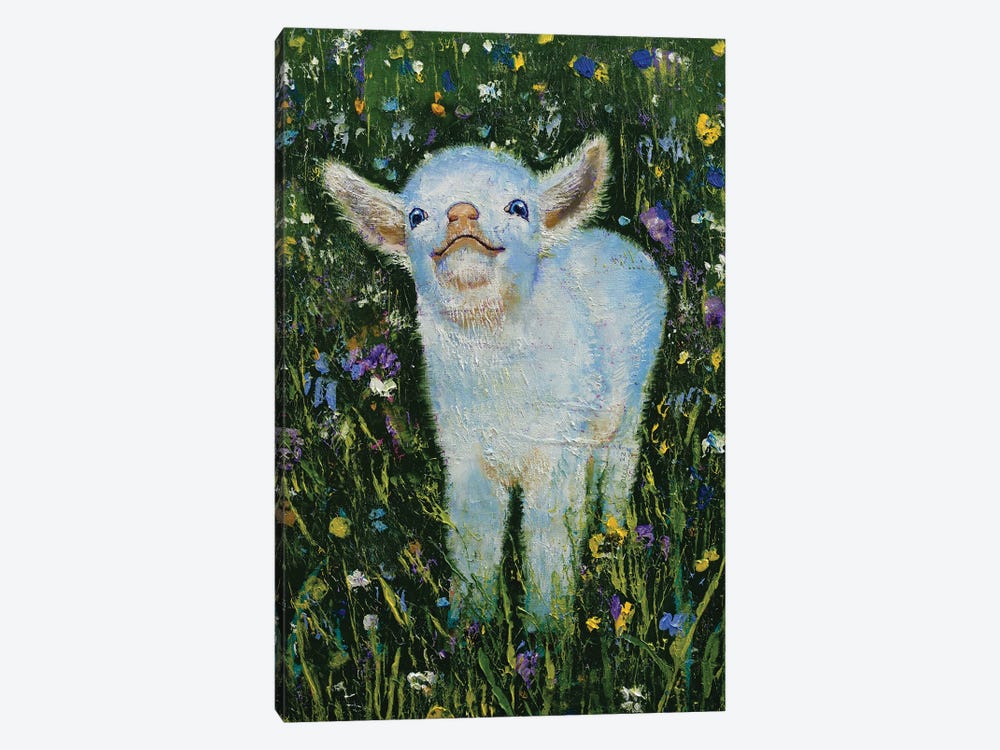 Baby Goat by Michael Creese 1-piece Canvas Print