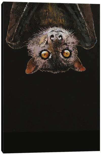 Bat Canvas Art Print - Michael Creese