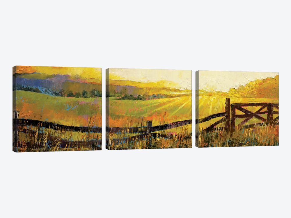 Country Meadow by Michael Creese 3-piece Canvas Artwork