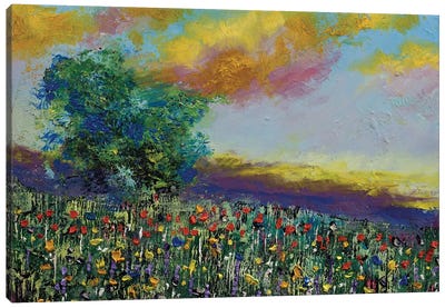 Sunset With Wildflowers Canvas Art Print - Michael Creese