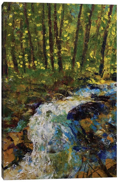Smokey Mountain Creek Canvas Art Print - Great Smoky Mountains National Park Art