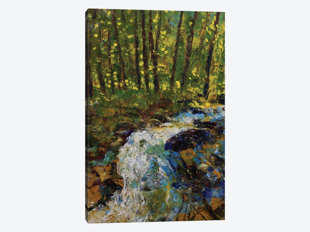 Smokey Mountain Creek by Michael Creese 1-piece Canvas Art Print