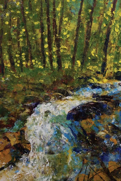 Great Smoky Mountains National Park: Smokey Mountain Creek by Michael Creese