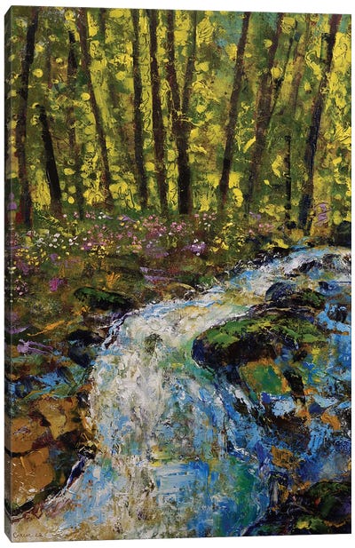 Enchanted Forest Canvas Art Print - Michael Creese