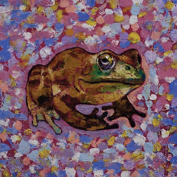 Frogs: Bullfrog by Michael Creese
