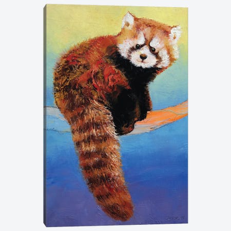 Cute Red Panda Canvas Print #MCR36} by Michael Creese Canvas Wall Art
