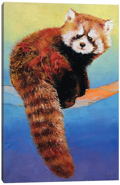Cute Red Panda Canvas Art Print - Red Panda Art