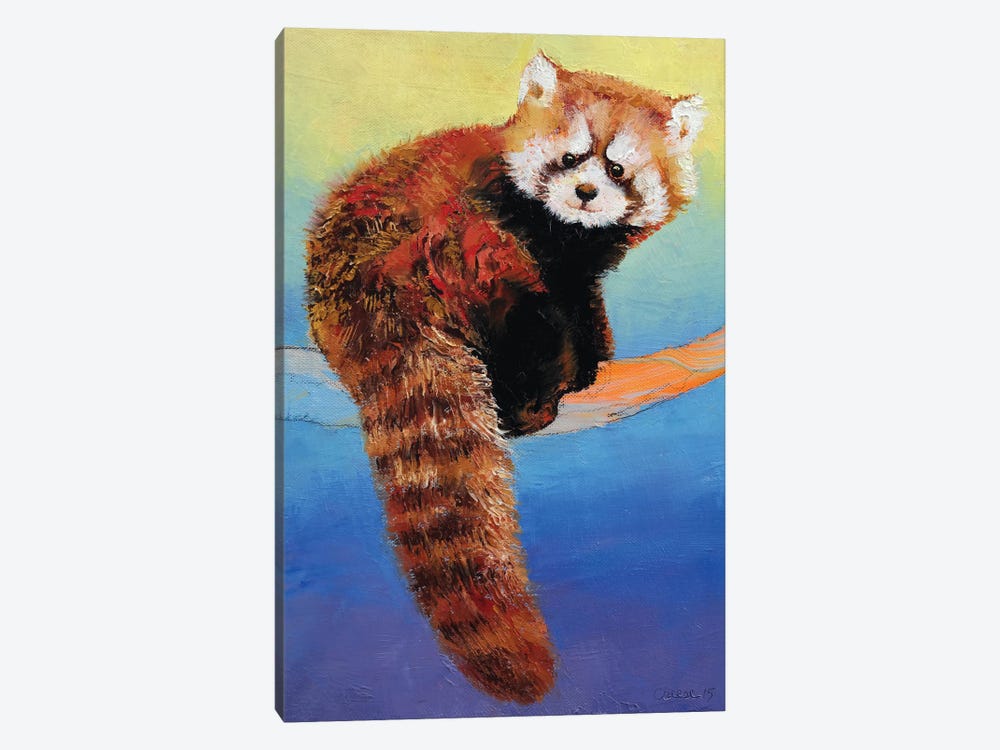 Cute Red Panda by Michael Creese 1-piece Canvas Artwork