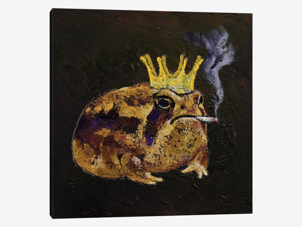 Desert Rain Frog by Michael Creese 1-piece Canvas Wall Art