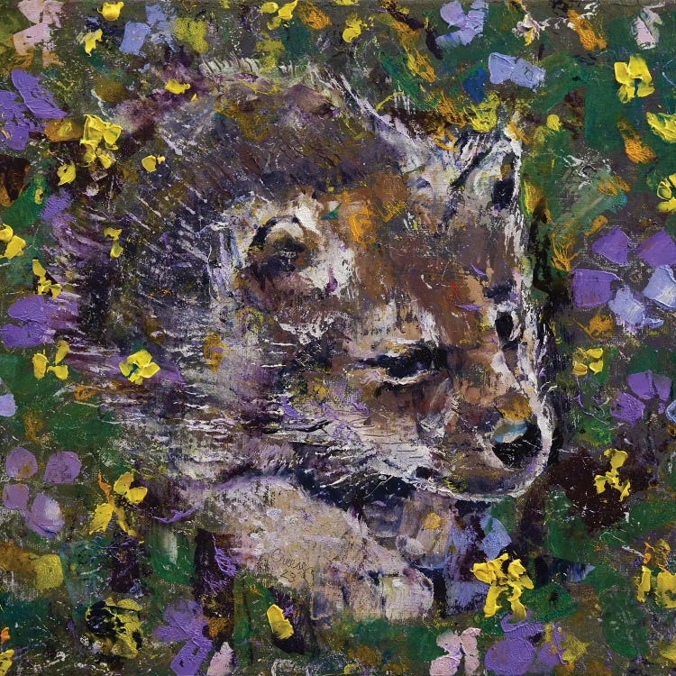Wolf Cub