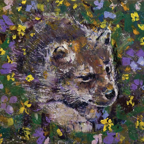 Wolves: Wolf Cub by Michael Creese